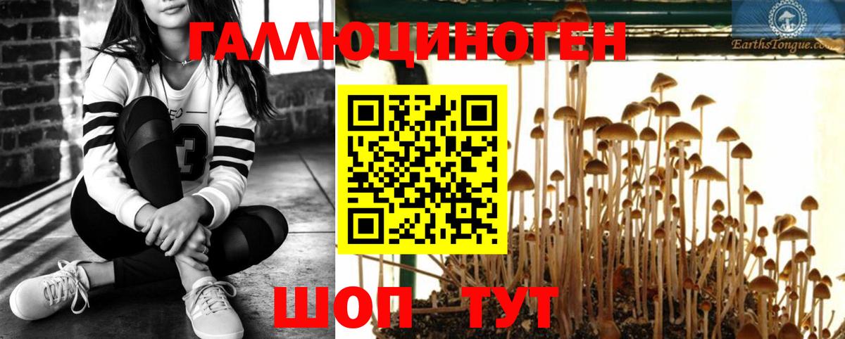 Галлюциногенные грибы прущие грибы  Вход с VPN  Дзержинск 